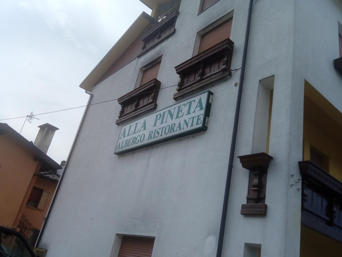 Albergo Alla Pineta Villa Santina ภายนอก รูปภาพ