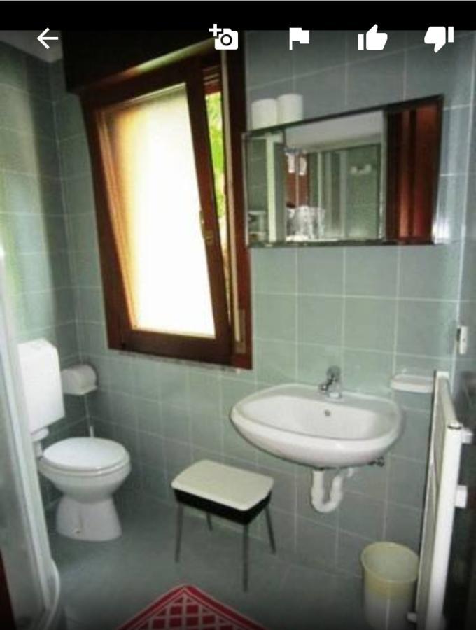 Albergo Alla Pineta Villa Santina ภายนอก รูปภาพ