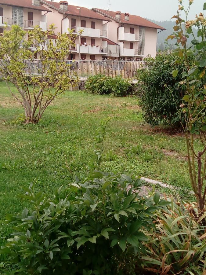 Albergo Alla Pineta Villa Santina ภายนอก รูปภาพ